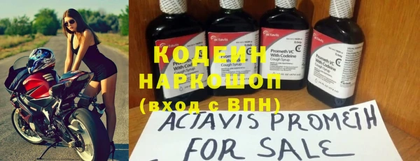 мяу мяу кристалл Корсаков
