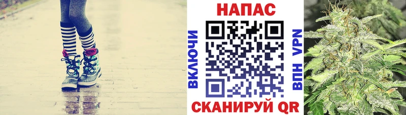 Купить  Навашино  Бошки марихуана семена 